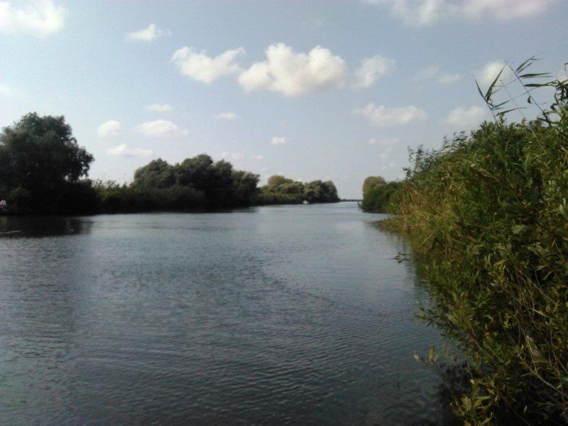 Rosu - Septembrie  2015 - img20150925131334.jpg